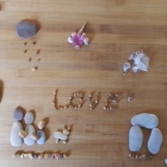 The Journey of a Learner